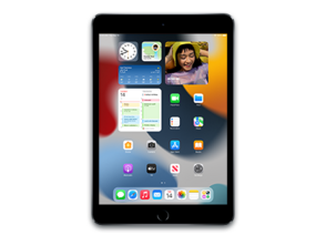 iPad12,2