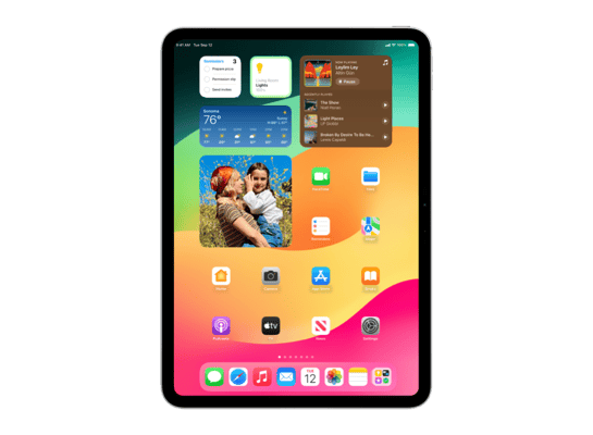 iPad Pro (M4, 11-inch, WiFi)